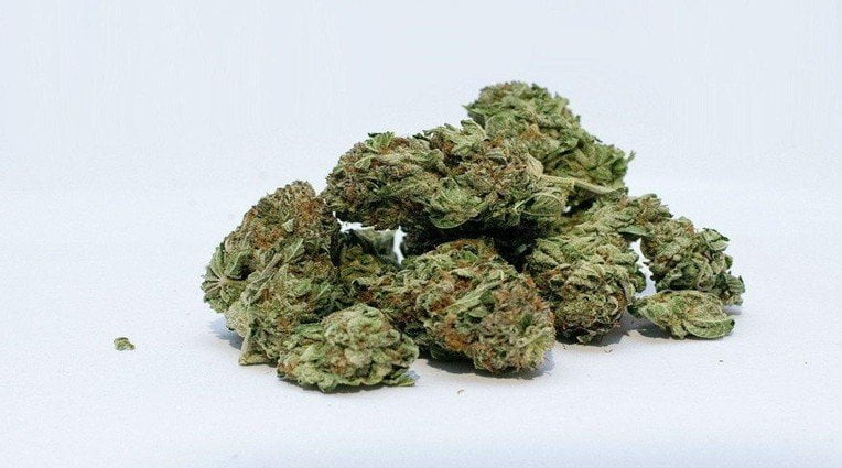 Cannabis