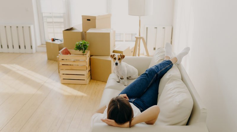 Picture of Dog House to the Penthouse: What You Need to Know About Owning a Dog ...